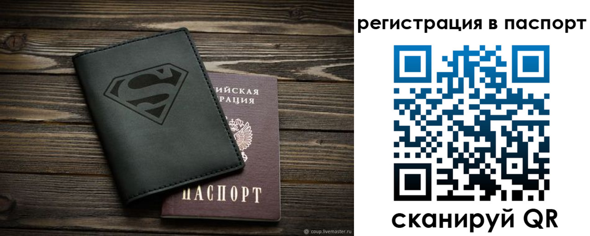 прописка для школы в Тимашёвске